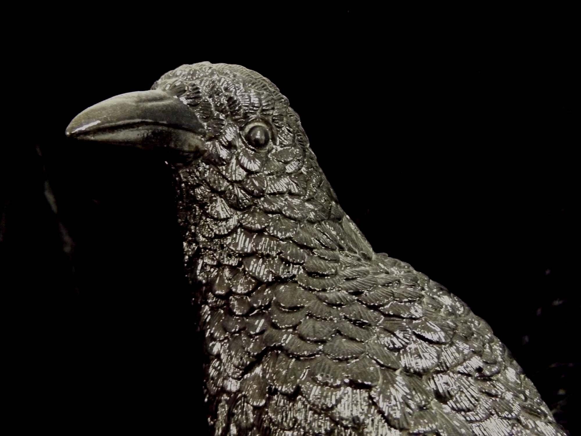 Nevermore the Raven Black Bird Statue Halloween Haunt Library