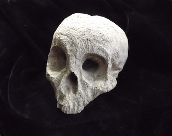 Human Half Skull Statue Scavenger Decayed Rotted Gothic Home Decor Macabre Oddities Morbid Yard Art Creepy Halloween Haunt Prop