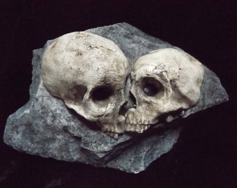 Love Rock Human Skulls Macabre Home Indoor Dungeon Decor Halloween Haunt Creepy Dead Eternal Kiss Fossil Bones Grave Prop Gothic Dark Garden