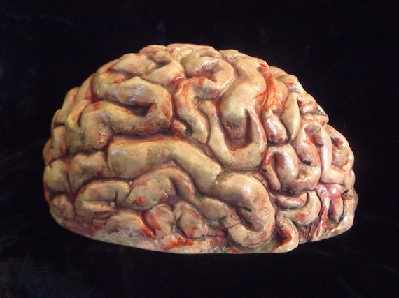 Human Brain Zombie Food Horror Statue Halloween Prop Macabre Weird