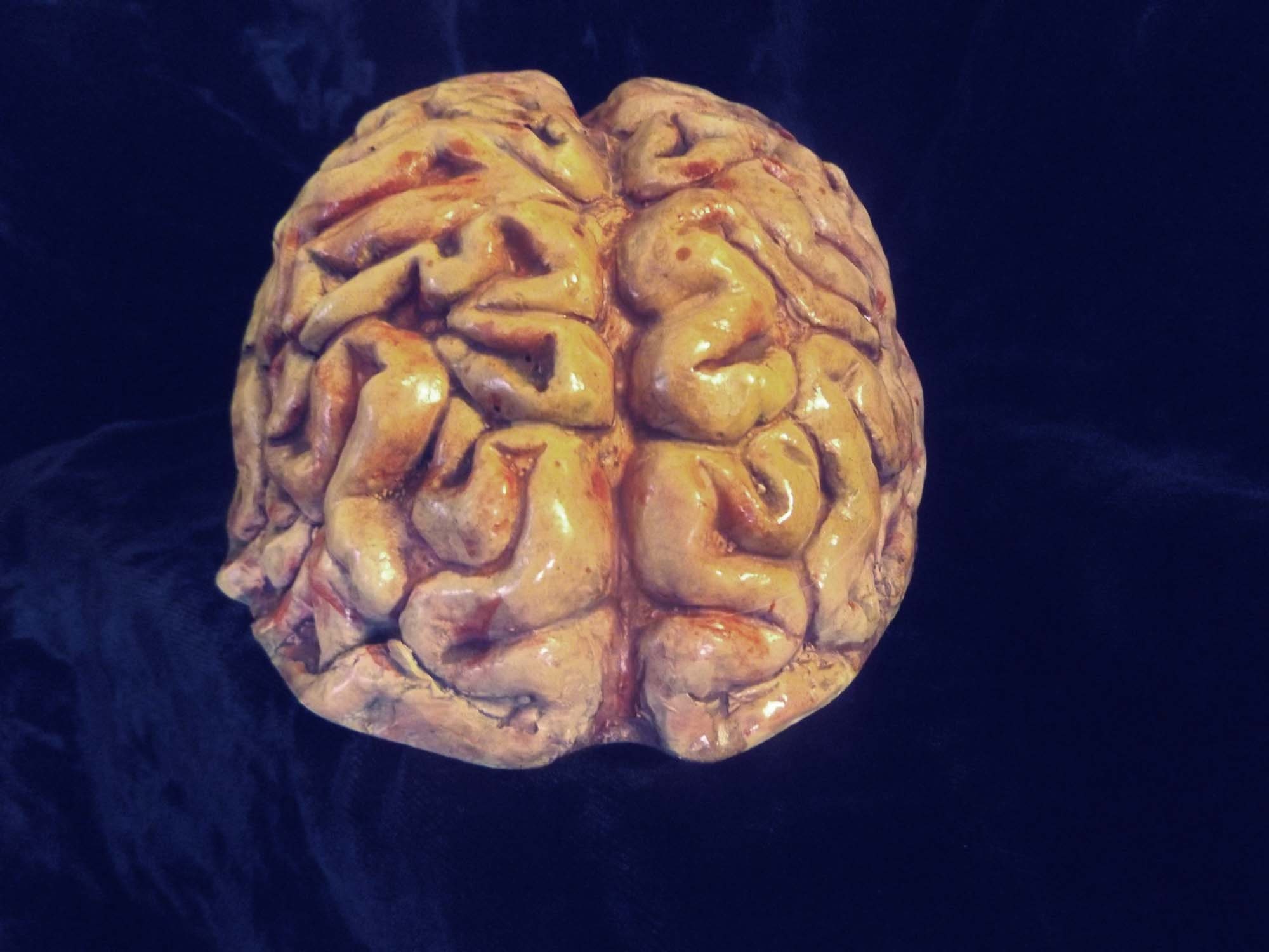 Human Brain Zombie Food Horror Statue Halloween Prop Macabre Weird