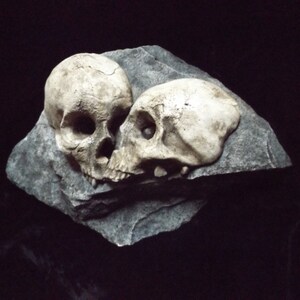 Love Rock Human Skulls Macabre Home Indoor Dungeon Decor Halloween Haunt Creepy Dead Eternal Kiss Fossil Bones Grave Prop Gothic Dark Garden image 3