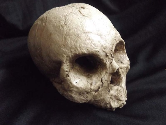 Human Half Skull Ancient Decrepit Bone Statue Decayed Rotted - Morbid Home Decor Human Half Skull Ancient Decrepit Bone Statue Decayed Rotted - Morbid Home Decor