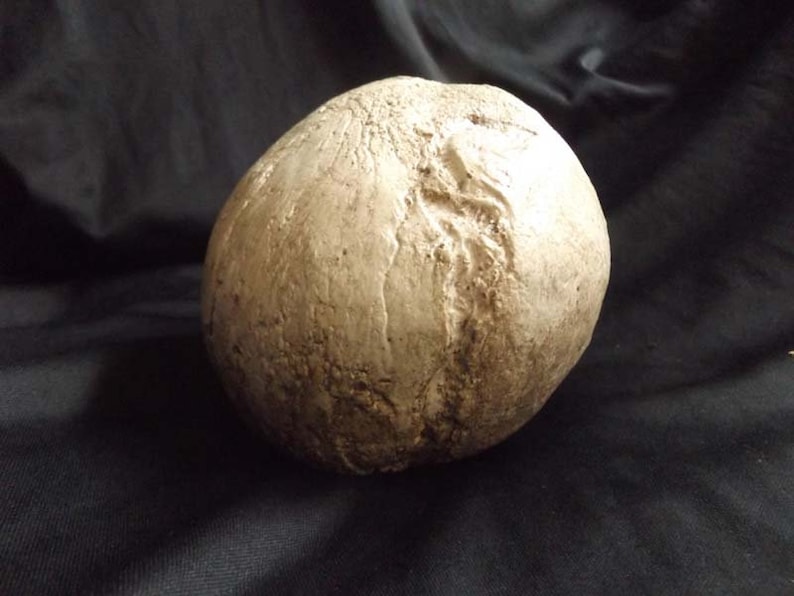 Human Half Skull Ancient Decrepit Bone Statue Decayed Rotted Prop ...
