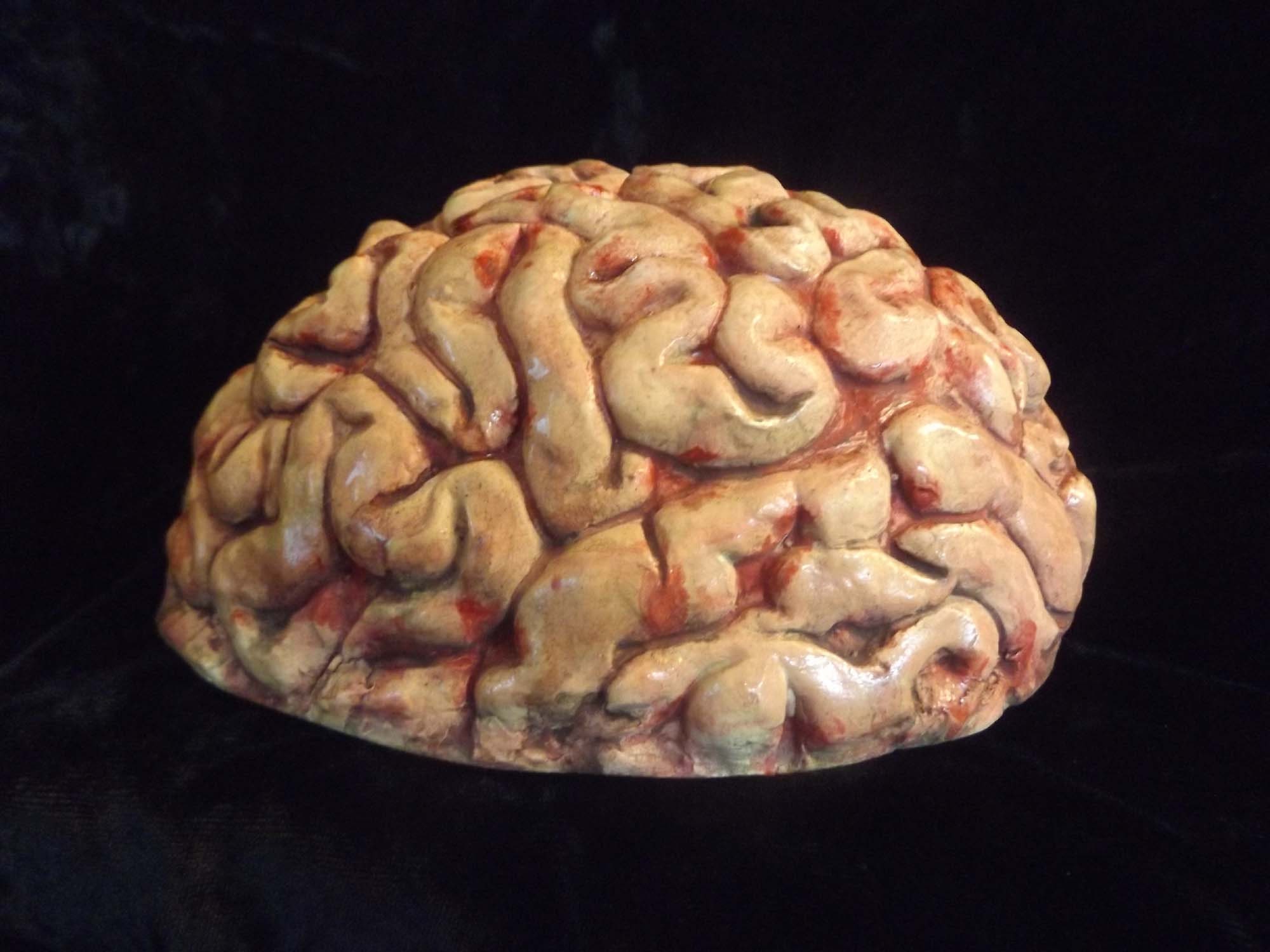 【D1様用】GRILLED HUMAN BRAIN／Horrific Subju Human Brain Zombie Food Horror Statue Halloween Prop Macabre Weird