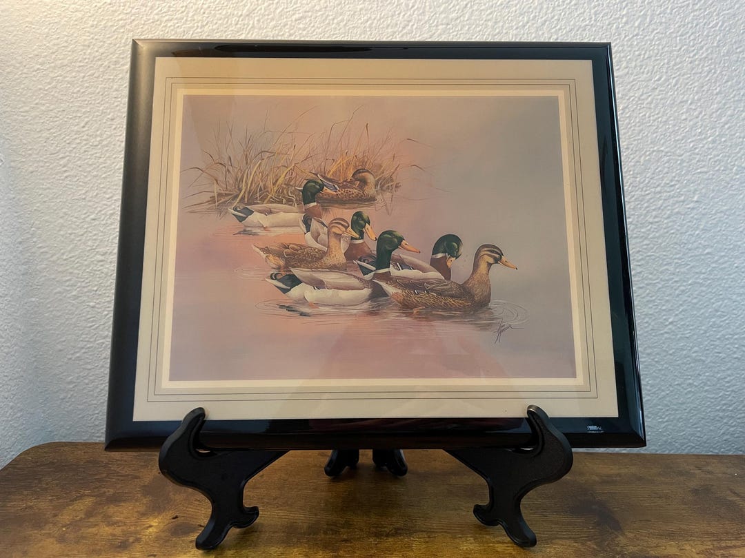o*a様 格安　HERILL：for MāW Duck 1951 ERDL Pa Vintage Mallard Duck Print – Ann Moller 1989, Lacquered Wildlife
