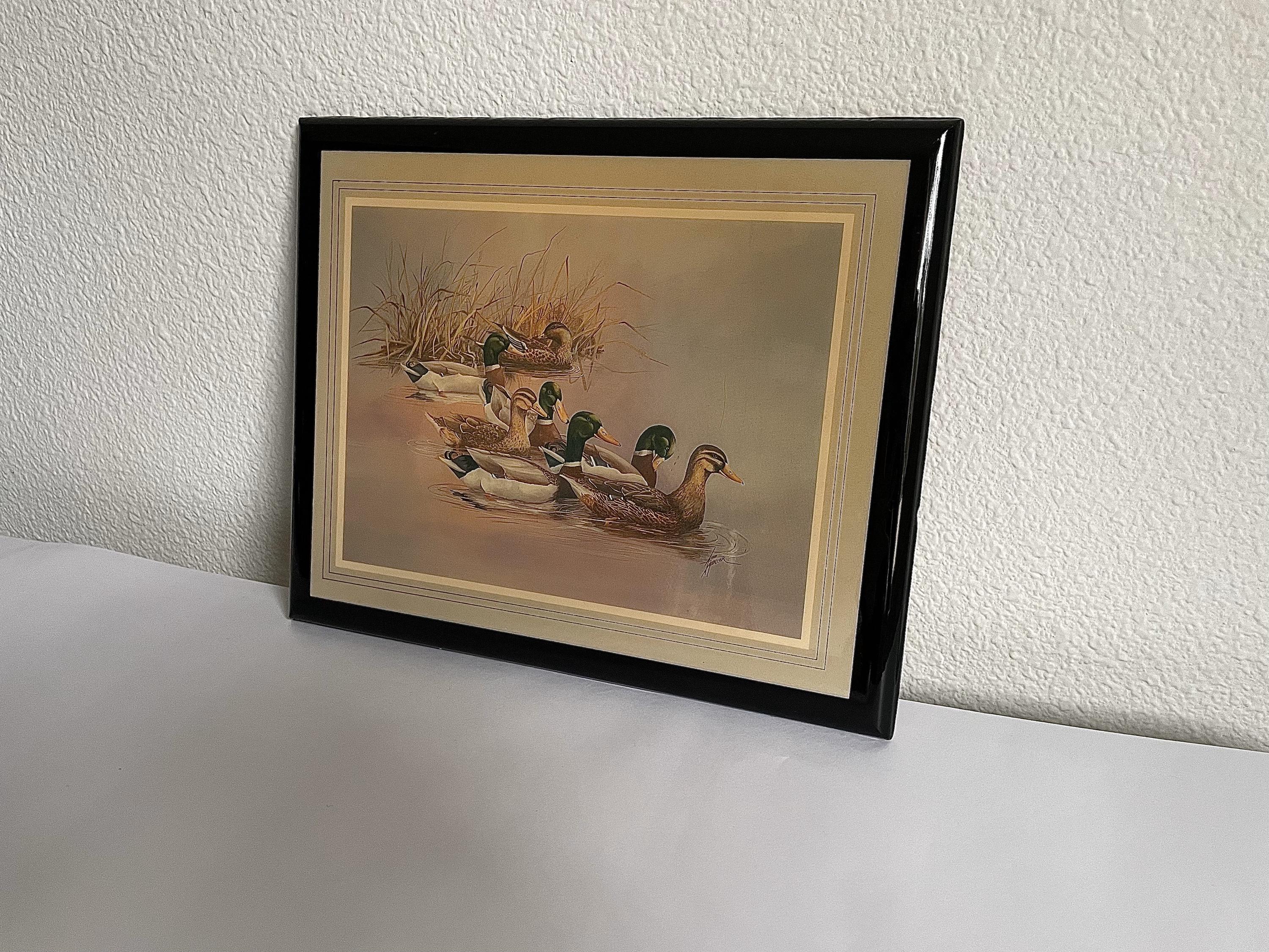 Vintage Mallard Duck Print – Ann Moller 1989, Lacquered Wildlife