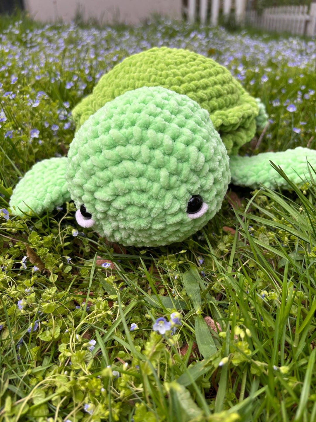 Pastacio Turtle Pistachio Macaron Turtle Plushie - Etsy