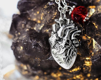 May include: Silver-toned anatomical heart pendant necklace with a red crystal accent. The pendant is detailed and suspended from a delicate chain. The necklace is displayed on a dark, textured surface with gold flecks.