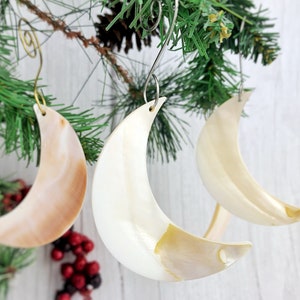 1/4pcs Shell Moon Ornament Set - Boho Tree Decoration - Crescent Moon - Celestial Decor Seashell Ocean Nautical Beach Christmas - 002