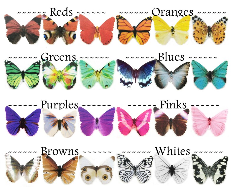 3pcs Butterfly Eye Makeup Stickers Beauty Product Accessory Etsy