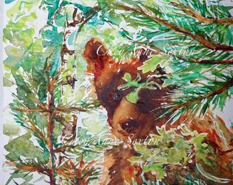 Bear Watercolor art - Wall Art Painting - Wild Brown Golden Bear peeking out of trees -  New Mexico 8x12