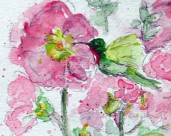 Hummingbird Pink Hollyhocks Watercolor Peridot Green chuparosa bright WaterColour Giclee print