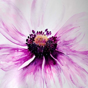 Anemone flower art  purple pink sweet blossom - watercolor 10x10 Square or 8x12 print
