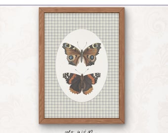 Ilustración de mariposa vintage / Arte de historia natural para imprimir / Decoración de biblioteca / Descarga digital