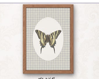 Ilustración antigua de mariposa cola de golondrina / Arte digital de alta resolución / Lámina de historia natural para decoración del hogar / Descarga digital