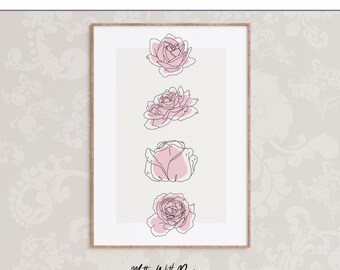 Impresión minimalista de rosas, arte floral lineal en rosa ruborizado, descarga digital imprimible