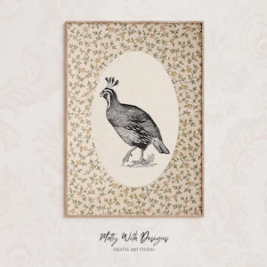 Vintage Quail Print for Rustic Cottage Decor, Nursery Wall Art, (Digital Downloadable Wall Art, Printable) — Matty With Designs Décor