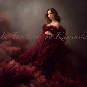 May include: A woman in a burgundy maternity gown with a layered, ruffled design. The dress has a train, surrounded by burgundy smoke against a dark background. The text "In The Lens by Kaminski" is visible on the image.