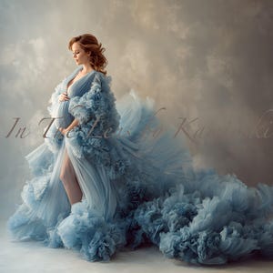 May include: A pale blue maternity gown with a long, flowing train. The gown has a low neckline and ruffled detailing. The image includes the text "In The Lens by Kaminski".
