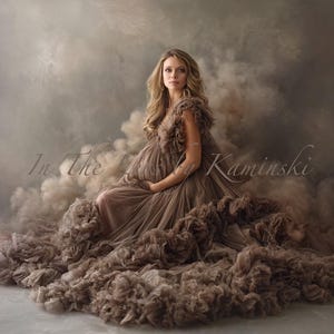 May include: A woman in a flowing, brown maternity gown sits amidst a smoky, ethereal background. The dress features layers of ruffled fabric, creating a voluminous effect. The image has the text "In The Kaminski" in the background.