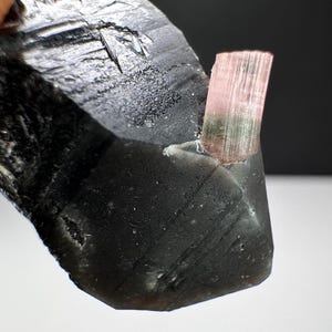 May include: A raw, black tourmaline crystal with a small, pink tourmaline crystal embedded in it. The black tourmaline has a rough, textured surface, while the pink crystal is smooth and translucent. The crystals are set against a white background.