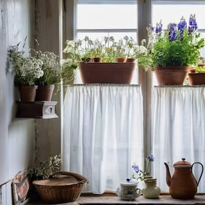 May include: A rustic window scene with potted plants and a teapot. The window features white curtains and a wooden shelf holding small terracotta pots with greenery. A woven basket and ceramic items sit on the windowsill, creating a cozy, vintage aesthetic.