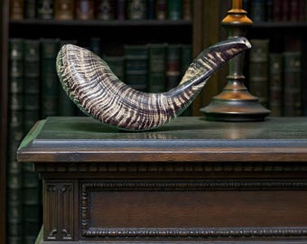 Large Kosher Black Ram's Horn Shofar-Yemenite Style Judaica from India Polish Genuine Shofar Horn