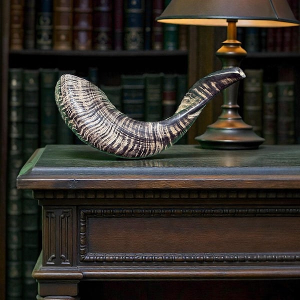 Large Kosher Black Ram's Horn Shofar-Yemenite Style Judaica from India Polish Genuine Shofar Horn