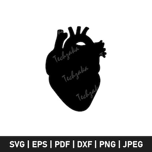 Human Heart Svg, Anatomical Heart Silhouette, Medical Heart Svg Cut File, Heart Organ Clipart, Heart Png, Biology Svg for Cricut File
