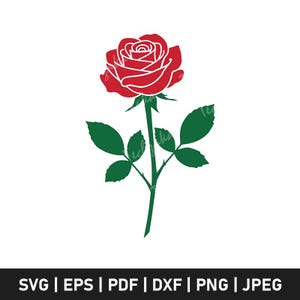 Op de afbeelding: Illustratie van een rode roos met groene bladeren en stengel op een witte achtergrond. De roos staat in volle bloei, met gedetailleerde bloemblaadjes. De afbeelding bevat de tekst "SVG | EPS | PDF | DXF | PNG | JPEG".