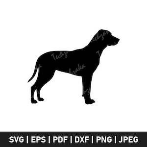 Plott Hound Svg, Plott Hound Silhouette, Coonhound Svg Cut File, Hunting Dog Clipart, Plott Hound Png, Dog Breed Svg for Cricut