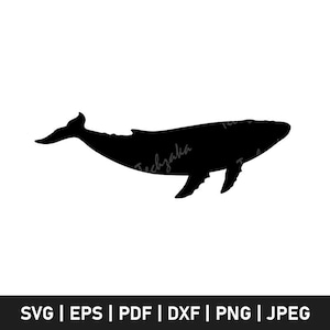 Blue Whale Svg, Blue Whale Silhouette, Blue Whale Png, Marine Mammal Clipart, Whale Cut File for Cricut File, Nautical Sea Life Svg