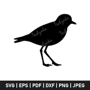 Plover SVG | Plover Bird SVG | Shorebird SVG | Piping Plover Silhouette | Beach Bird | Coastal Bird | Bird Cut File | Wildlife Svg | Clipart