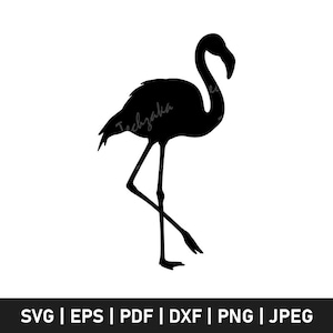 Greater Flamingo Svg | Tropical Flamingo Bird Clipart Png Eps | Flamingo Silhouette Cut File for Cricut | Pink Bird Svg for Sublimation