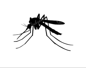 Mosquito Svg, Mosquito Png Dxf Eps, Clipart de Silhueta de Inseto, Vetor de Controle de Pragas, Arquivo de Corte de Contorno de Inseto para Projetos Cricut e Sublimação