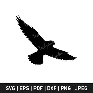 Flying Peregrine Falcon Svg, Falcon Silhouette, Falcon Png, Bird of Prey Svg Cut File, Falcon Clipart, Falcon in Flight Svg for Cricut File