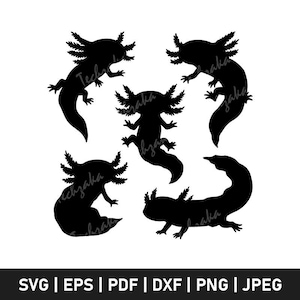 Axolotl Svg File, Axolotl Silhouette, Axolotl Png, Axolotl Cricut, Axolotl Vector, Axolotl Printable, Cute Axolotl Clipart, Digital Download
