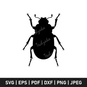 Beetle Insect Svg, Bug Silhouette Svg, Beetle Clipart, Insect Svg Cut File, Nature Bug Png, Entomology Svg, Cricut Beetle Design