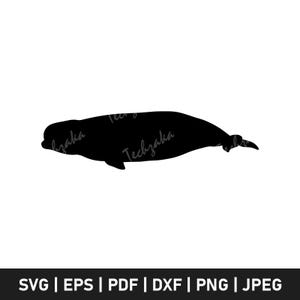 Beluga Whale Svg, Beluga Silhouette Svg, Ocean Animal Clipart, Beluga Whale Png, Marine Life Svg Cut File for Cricut, Digital Download