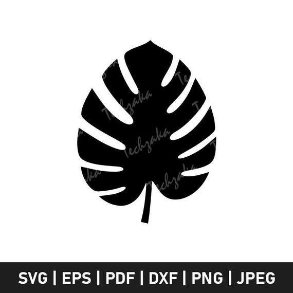 Monstera Leaf SVG File, Monstera Leaf Silhouette, Monstera Leaf PNG, Jungle  Leaf Clipart, Botanical Vector, Cricut Cut File,digital Download - Etsy  Israel