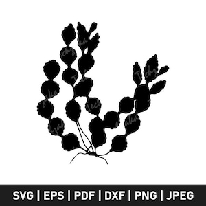 Algae Svg File, Algae Silhouette, Algae Png, Seaweed Clipart, Ocean Plant Svg, Marine Life Cut File for Cricut, Digital Download