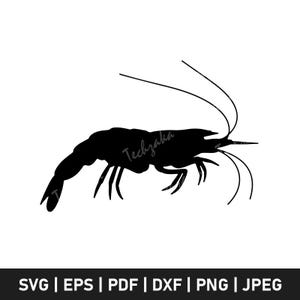 Cute Shrimp Svg File, Shrimp Silhouette, Shrimp Png, Shrimp Clipart, Shrimp Sublimation, Seafood Vector, Cricut Cut File, Digital Download