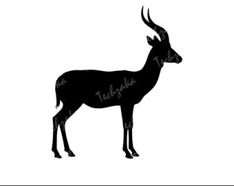 Gazelle Svg, Gazelle Silhouette, Wild Animal Clipart, Gazelle Png, Safari Wildlife Vector, African Animal Cricut File, Digital Download