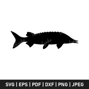 Sturgeon svg file, Sturgeon silhouette, Sturgeon dxf, Sturgeon png, Sturgeon fish svg, Sturgeon vector