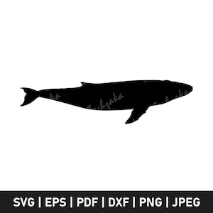 Fin Whale Svg, Ocean Whale Silhouette, Marine Animal Clipart, Whale Cut File for Cricut File, Sea Life Svg Png, Digital Download