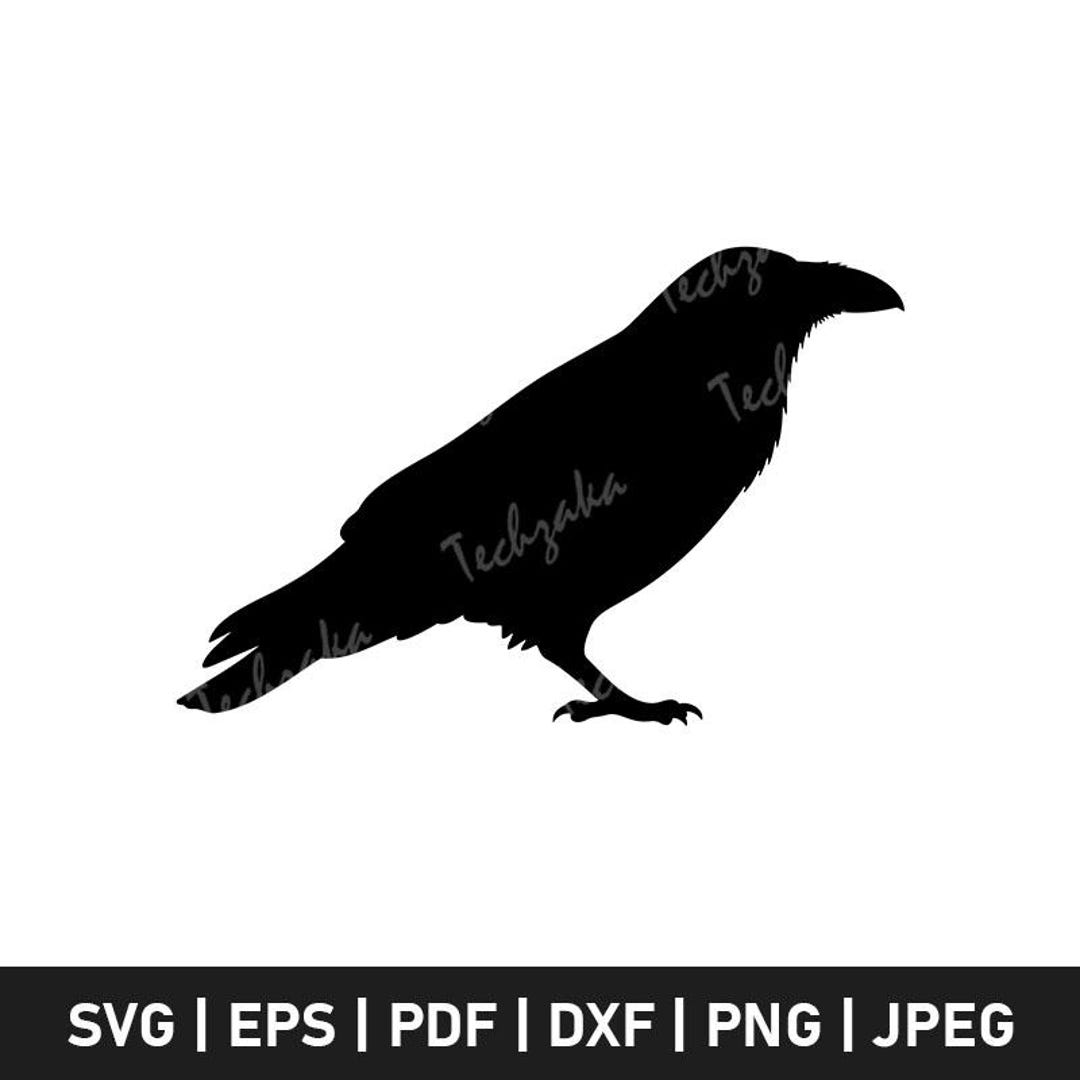 Thick Billed Raven SVG, Raven Silhouette, African Bird Clipart