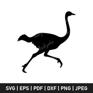 Running Ostrich SVG, Ostrich Silhouette SVG, Ostrich Clipart, Ostrich Vector, Bird SVG, Safari Animal Svg, Ostrich Png, Cricut Cut File