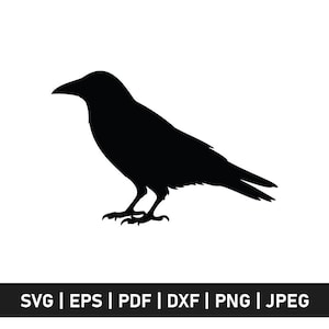 May include: A solid black silhouette of a raven standing in profile, facing left. Below the bird, a black horizontal bar contains the white text: SVG | EPS | PDF | DXF | PNG | JPEG. The design is presented against a plain white background.