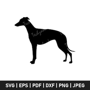 Whippet SVG, Whippet Silhouette, Dog Whippet Clipart, Whippet PNG, Pet Whippet Dog SVG, Greyhound Vector, Cricut Cut File, Digital Download